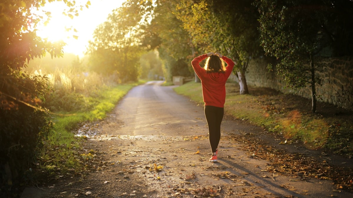 Morning jog in the countryside